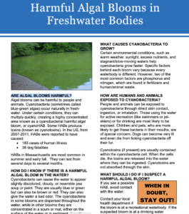 cover image for cyanobacteria brochure
