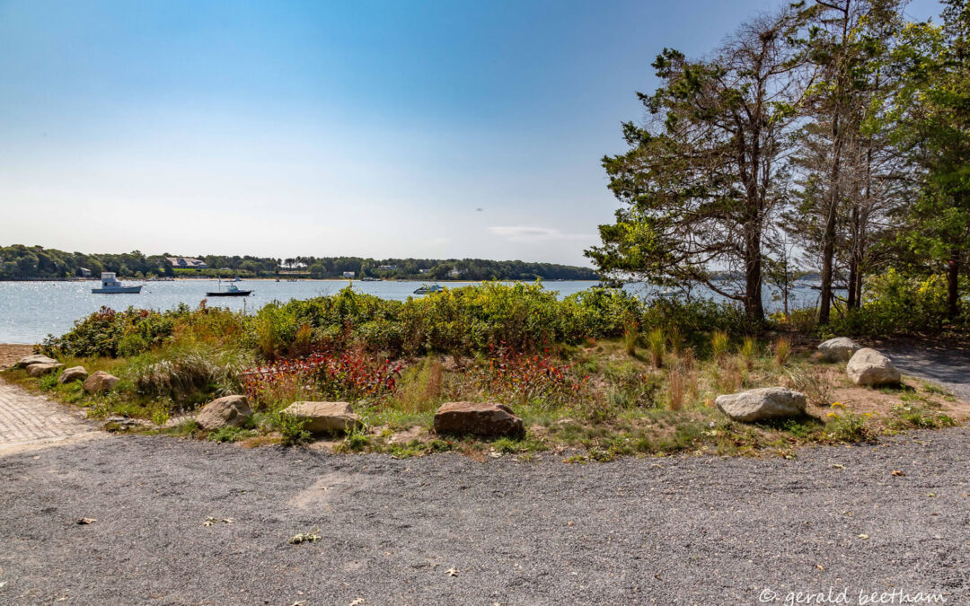 Barnstable Awarded Coastal Pollutant Remediation (CPR) Grant